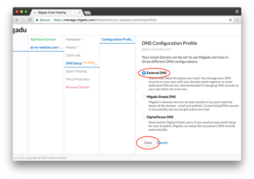 Migadu: configure external DNS